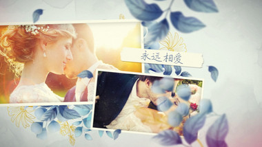 清新植物装饰唯美优雅婚礼照片展示AE模板