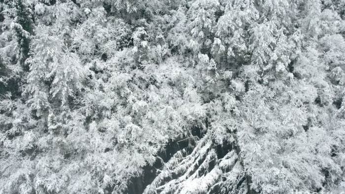 4K航拍冬季白雪皑皑景色实拍视频