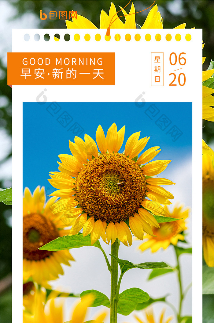 简约清新早安日签向日葵正能量励志手机海报
