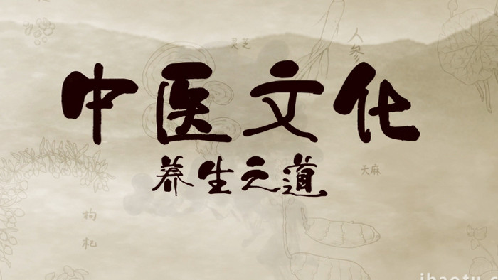 中国风传统中医养生文化宣传AE模板