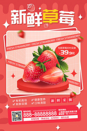 新鲜特产草莓促销