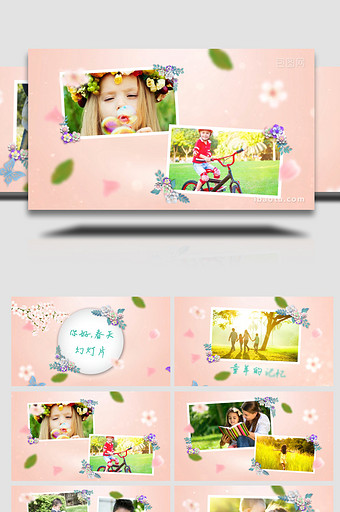 清新浪漫春季花卉照片写真相册展示AE模板图片