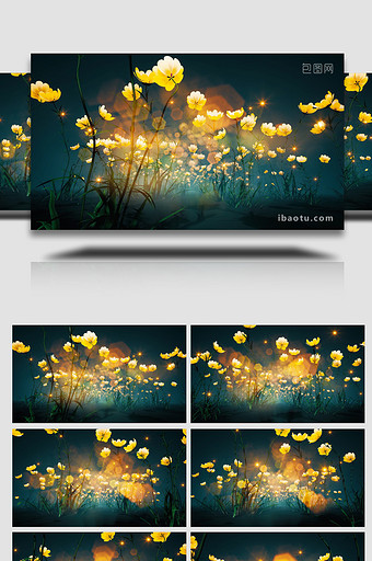 行走在梦幻黄色花丛魔法花园循环视频素材图片