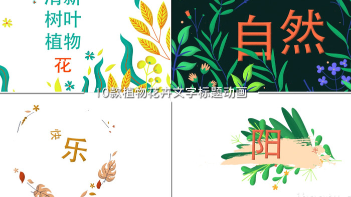 10款优雅植物花卉文字标题动画AE模板