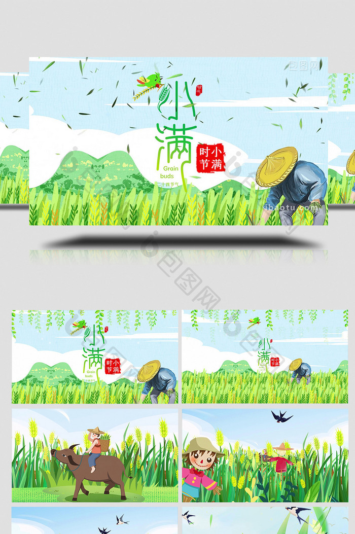 小满节气动画视频AE模板