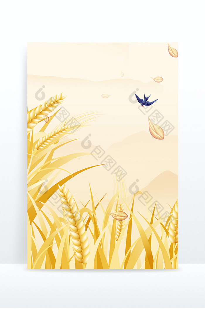 芒种插画麦穗丰收草地节气图片图片