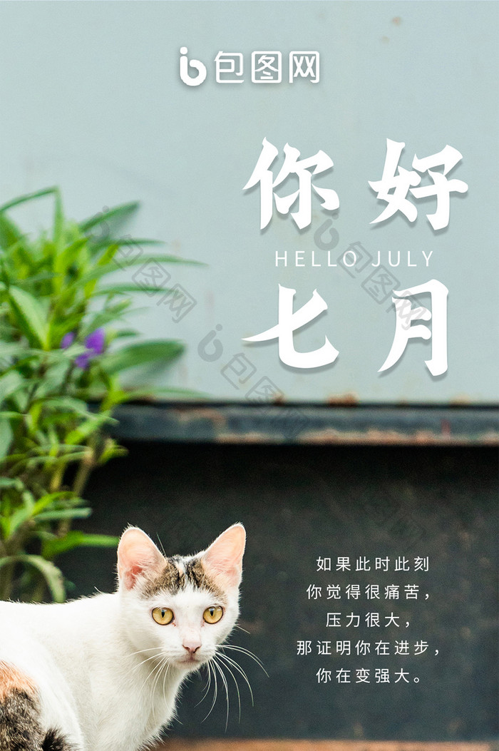 日签月签七月你好励志奋斗蓝猫萌宠类