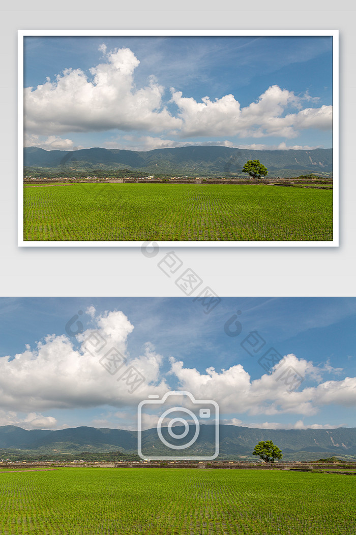 夏日清新田园风光摄影图片