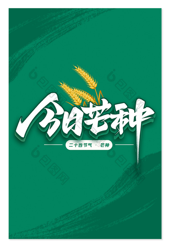 今日芒种毛笔字体设计