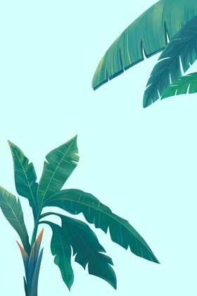 处暑芭蕉树插画