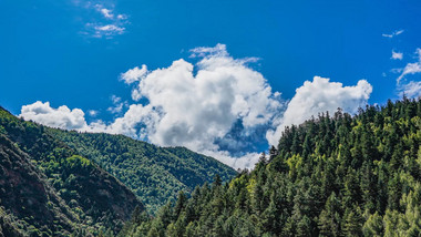 自然唯美山峰山林云层翻涌延时