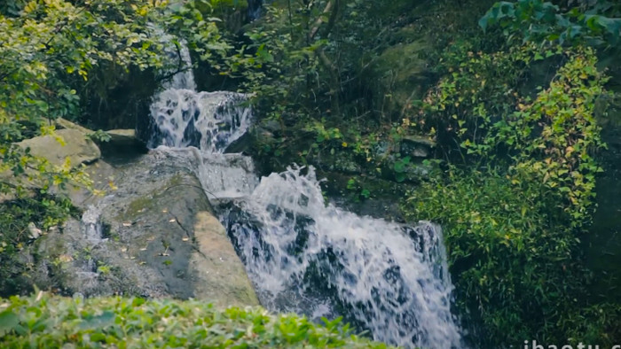 森林中溪流岩石流水自然写意4K实拍