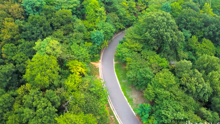 自然风景森林中的道路4K航拍
