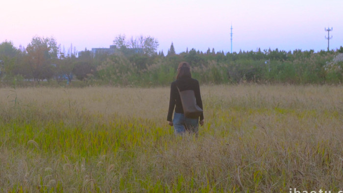 孤独冷清情绪美女走在草丛中背影4K实拍