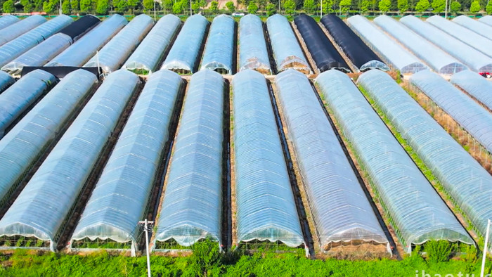 行业场景农业塑料大棚蔬菜种植4K航拍