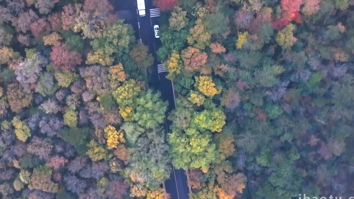 秋天公路秋景缤纷森林风景4K航拍