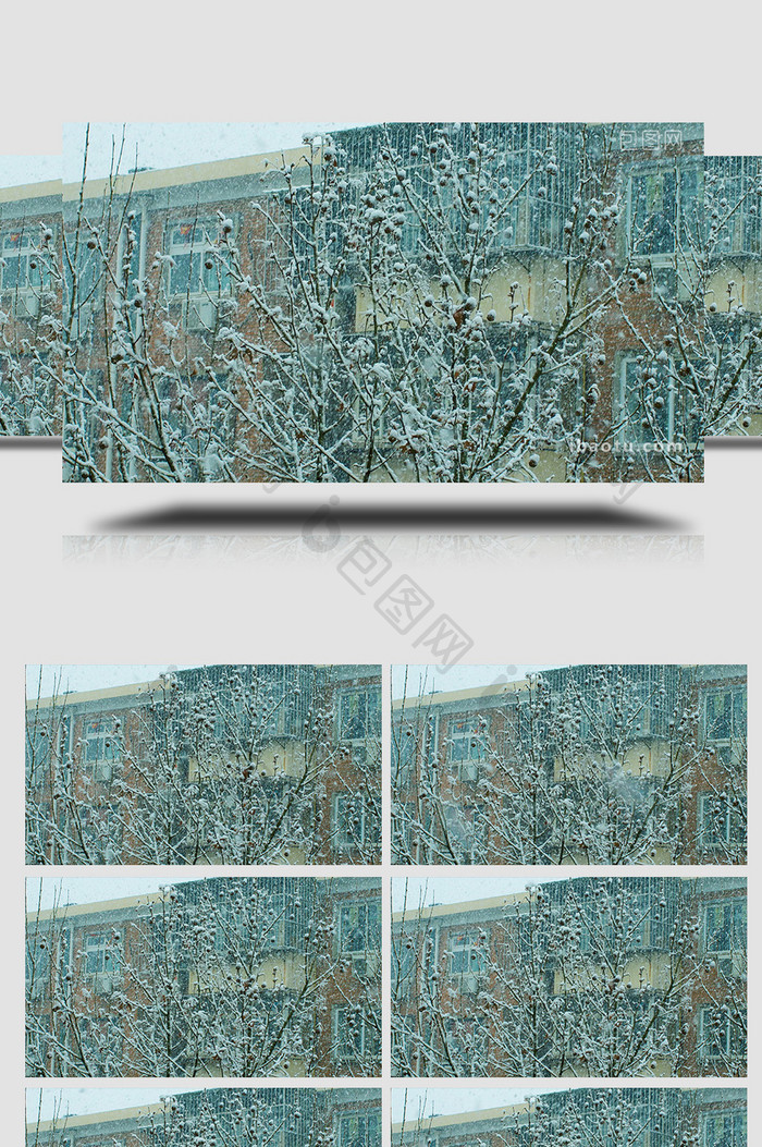 冬季下雪雪景室外树木积雪延时
