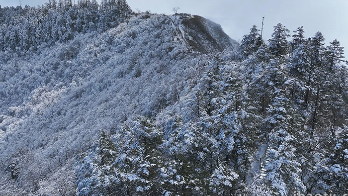 自然冬季航拍西岭雪山雪景4K实拍