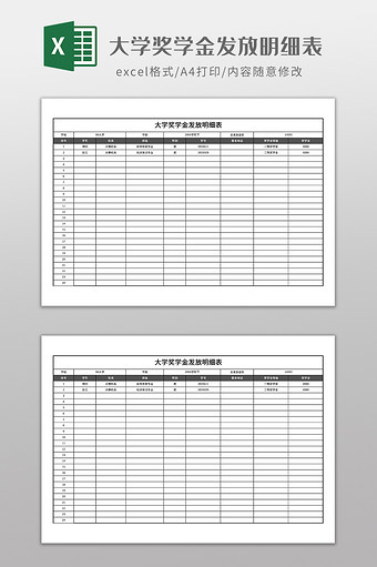 大学奖学金发放明细表图片