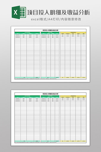项目投入明细及收益分析图片