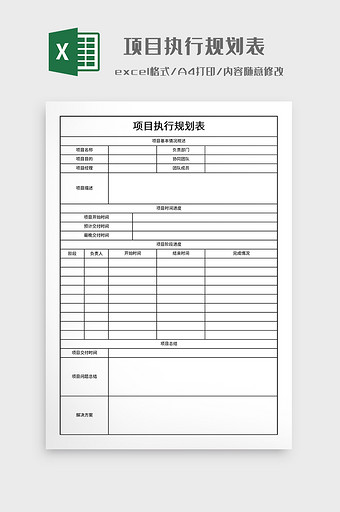 实用项目执行规划表图片