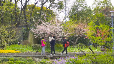 春日户外游玩公园春游赏花4K实拍