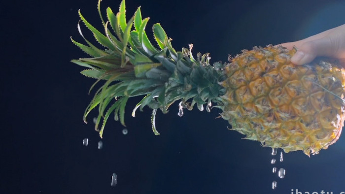 新鲜水果菠萝实拍视频