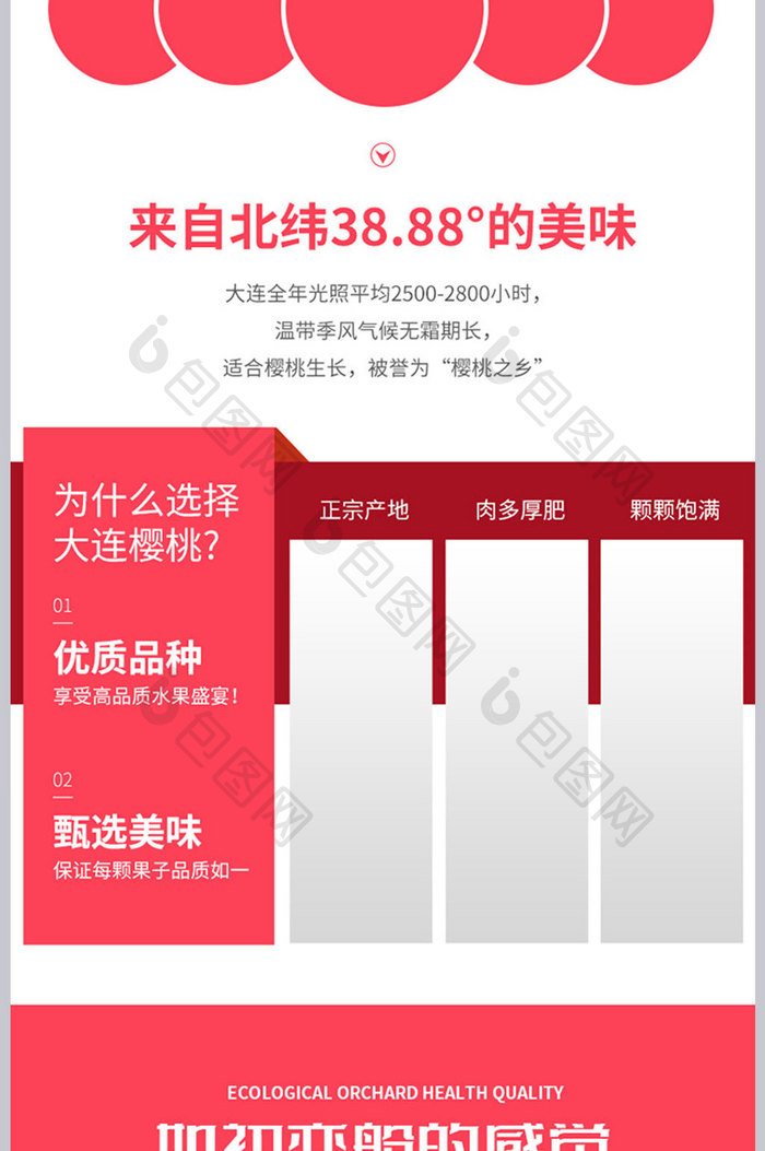 简约车厘子详情页时令水果描述页设计模板