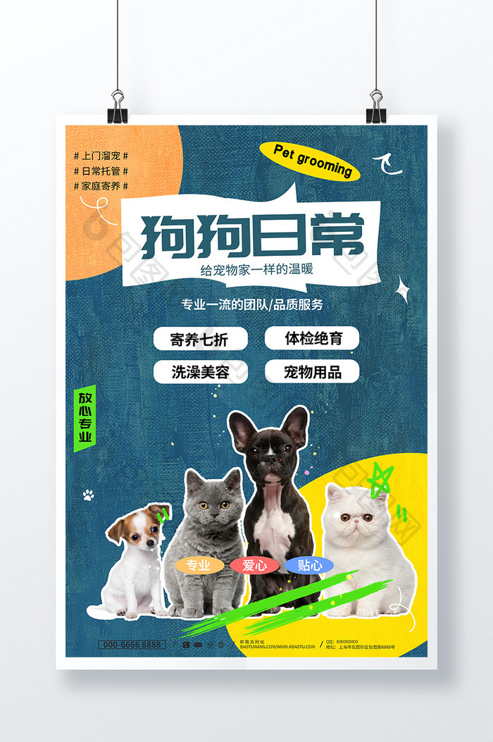 大气创意狗狗日常宠物美容海报