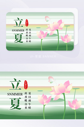 弥散荷花24节气立夏banner