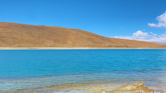 自然风光青藏高原蓝天白云湛蓝湖泊波浪实拍