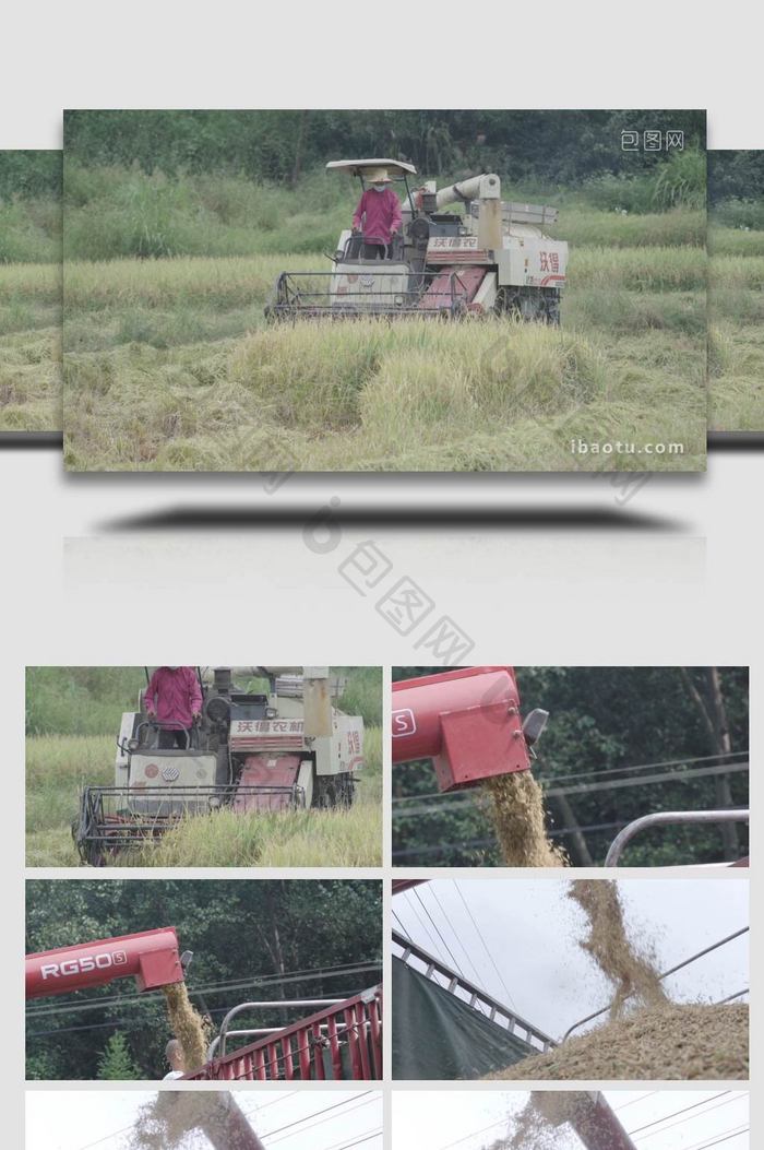农业稻田收割机实拍4K