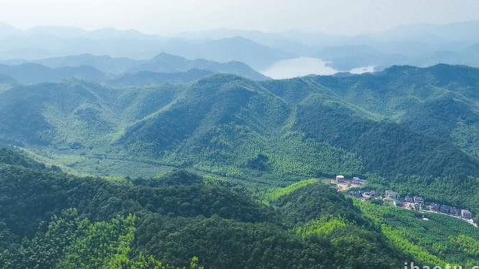 自然风光绵延的莫干山山脉竹海森林4K航拍