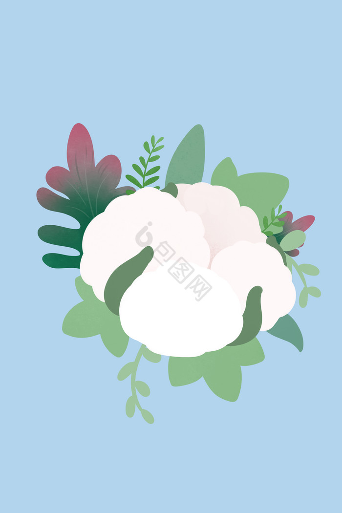 棉花png下载-包图网