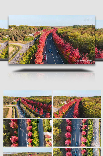 秋天风景旅途风景公路红枫林4K航拍图片