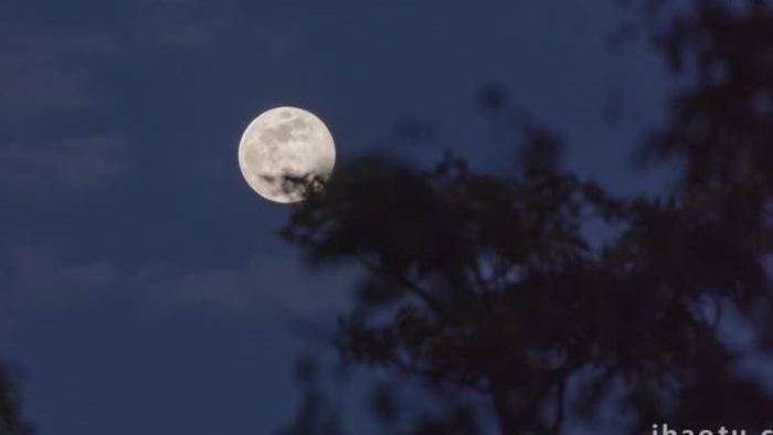 满月月出月升树影延时实拍4k