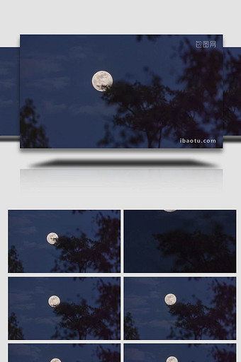 满月月出月升树影延时实拍4k图片