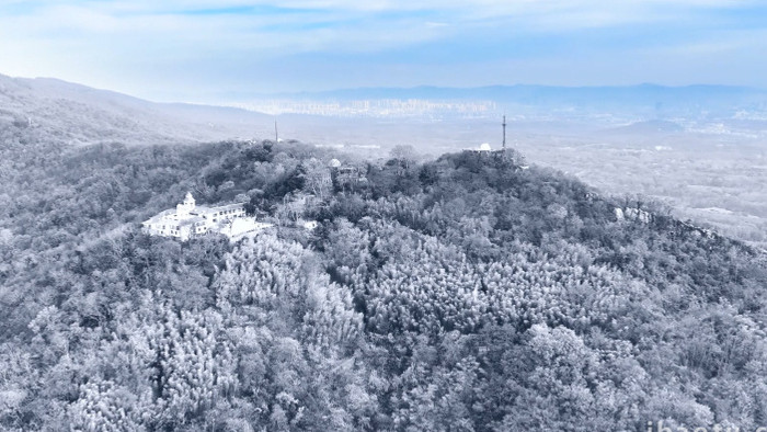 冬季雪景大雪封山雪松雾凇雪景4K航拍