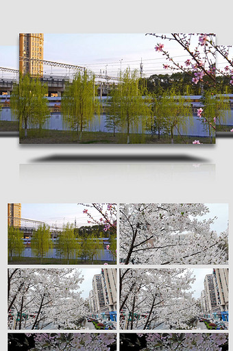 春季城市细节实拍素材图片