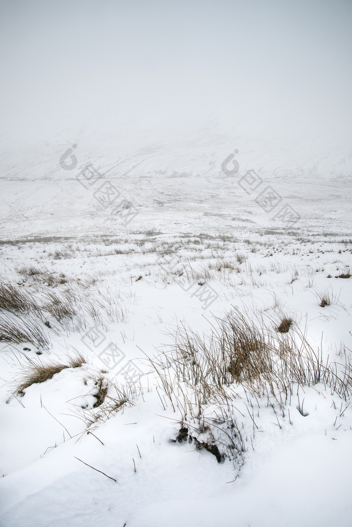 浅色调雪地风景摄影图