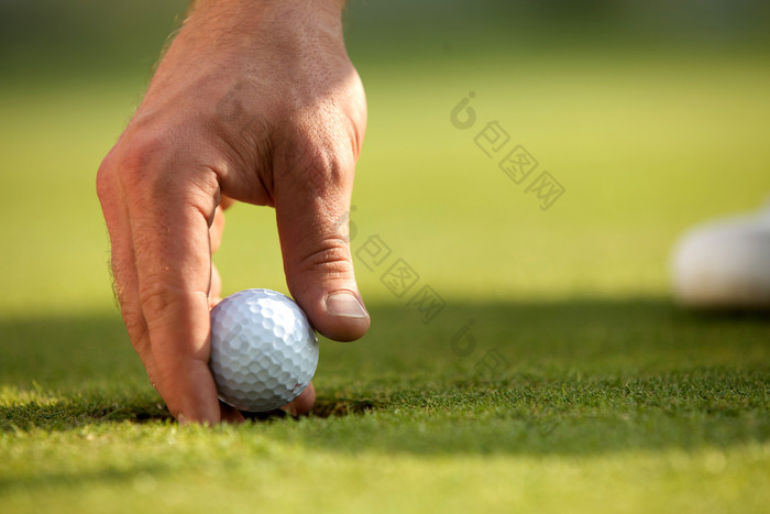 草坪上的高尔夫球白球