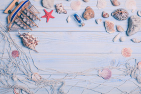贝壳海螺装饰物