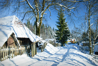 冬季房屋树木摄影图