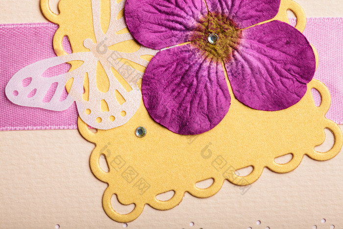 紫色花朵卡片摄影图