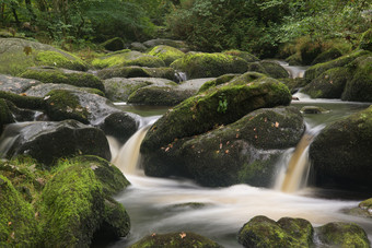 树林岩石瀑布流水