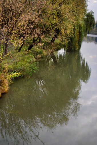 秋季树木河面摄影图