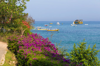 蓝色调海边风景摄影图