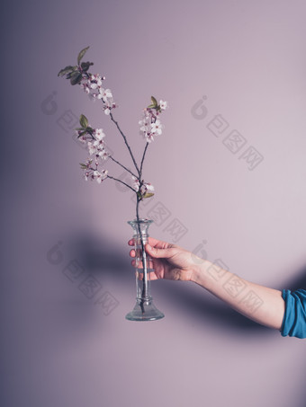 撑开的花朵花瓶摄影图