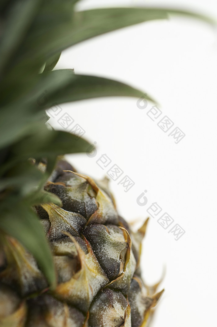 暗色调大菠萝摄影图