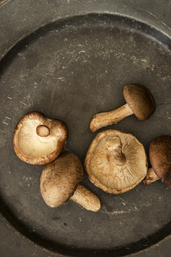 晒干的香菇摄影图